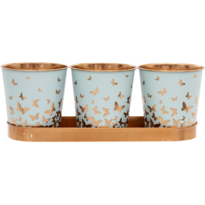 Bronze Butterfly Set of 3 with Tray