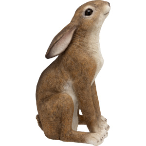 Brown Gazing Hare
