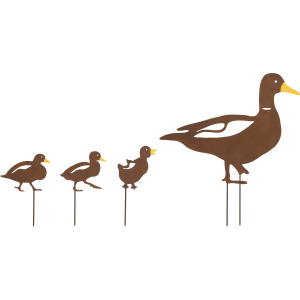 Duck Family