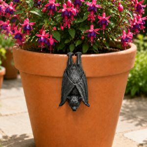 LO26517 Banner